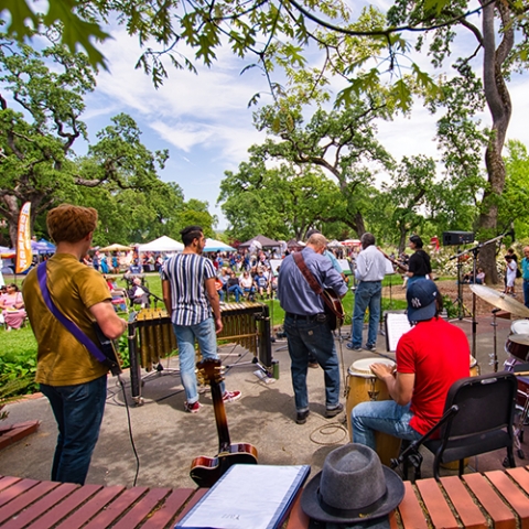 Live music at Day Under the Oaks